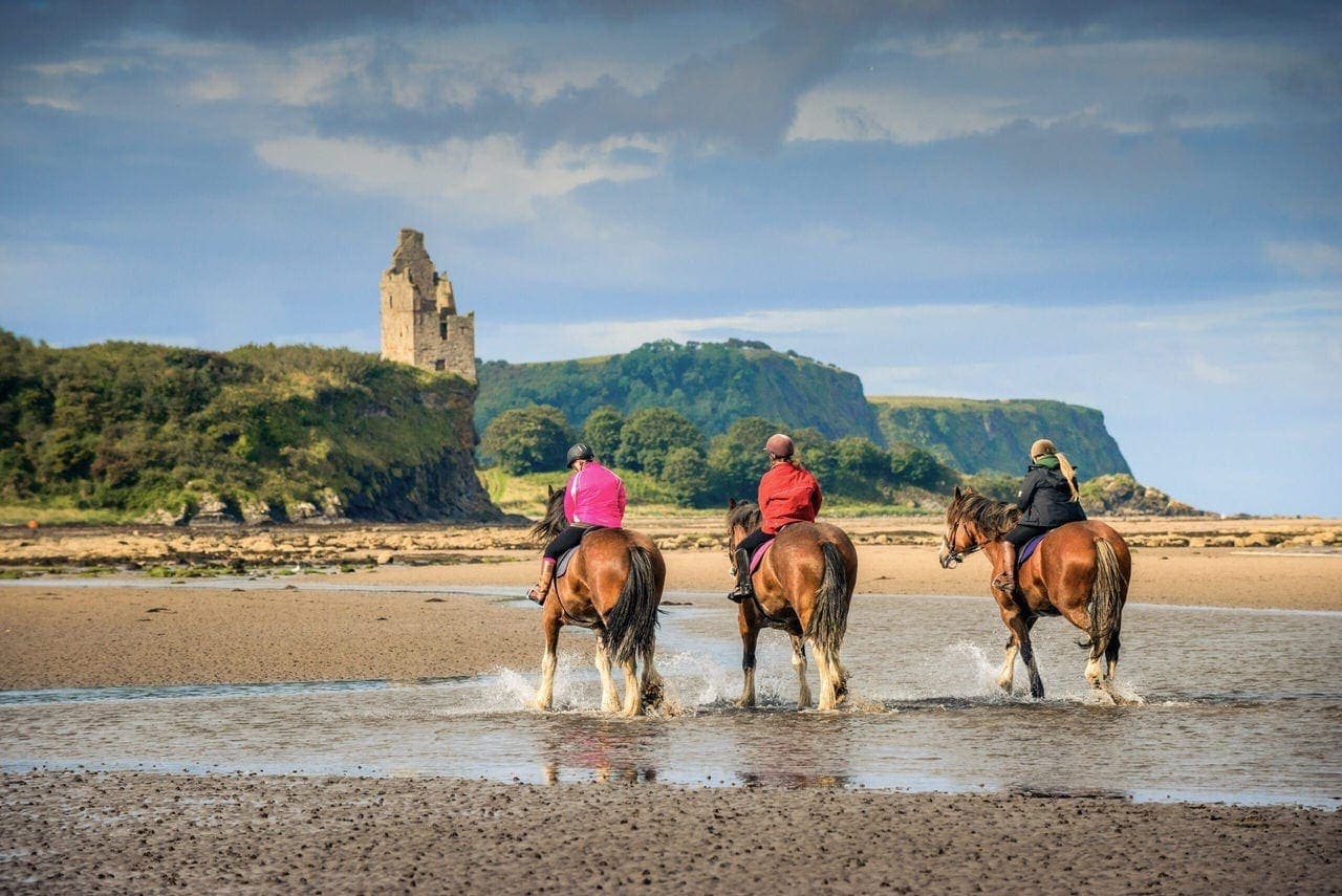 Blackstone Clydesdales at Greenan beach on the South West 300 route