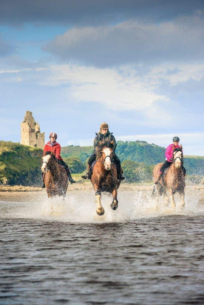 Blackstone Clydesdales beach ride