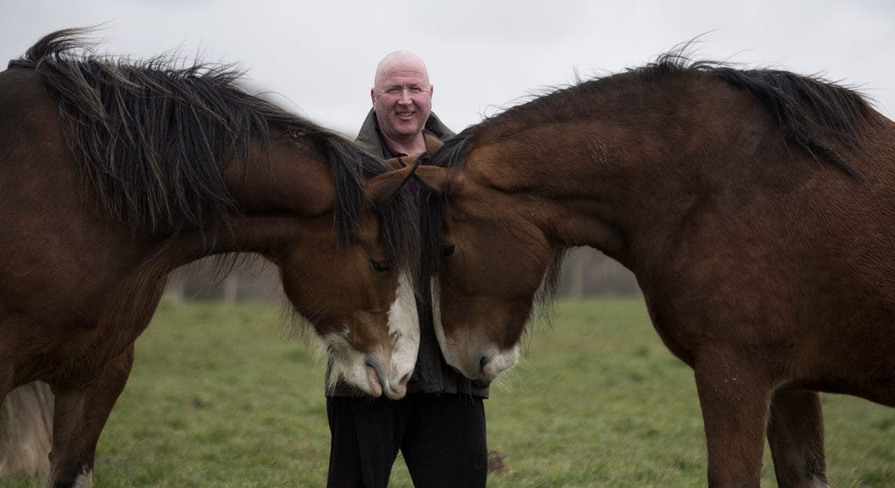 Blackstone Clydesdales Bonny+Milly with John