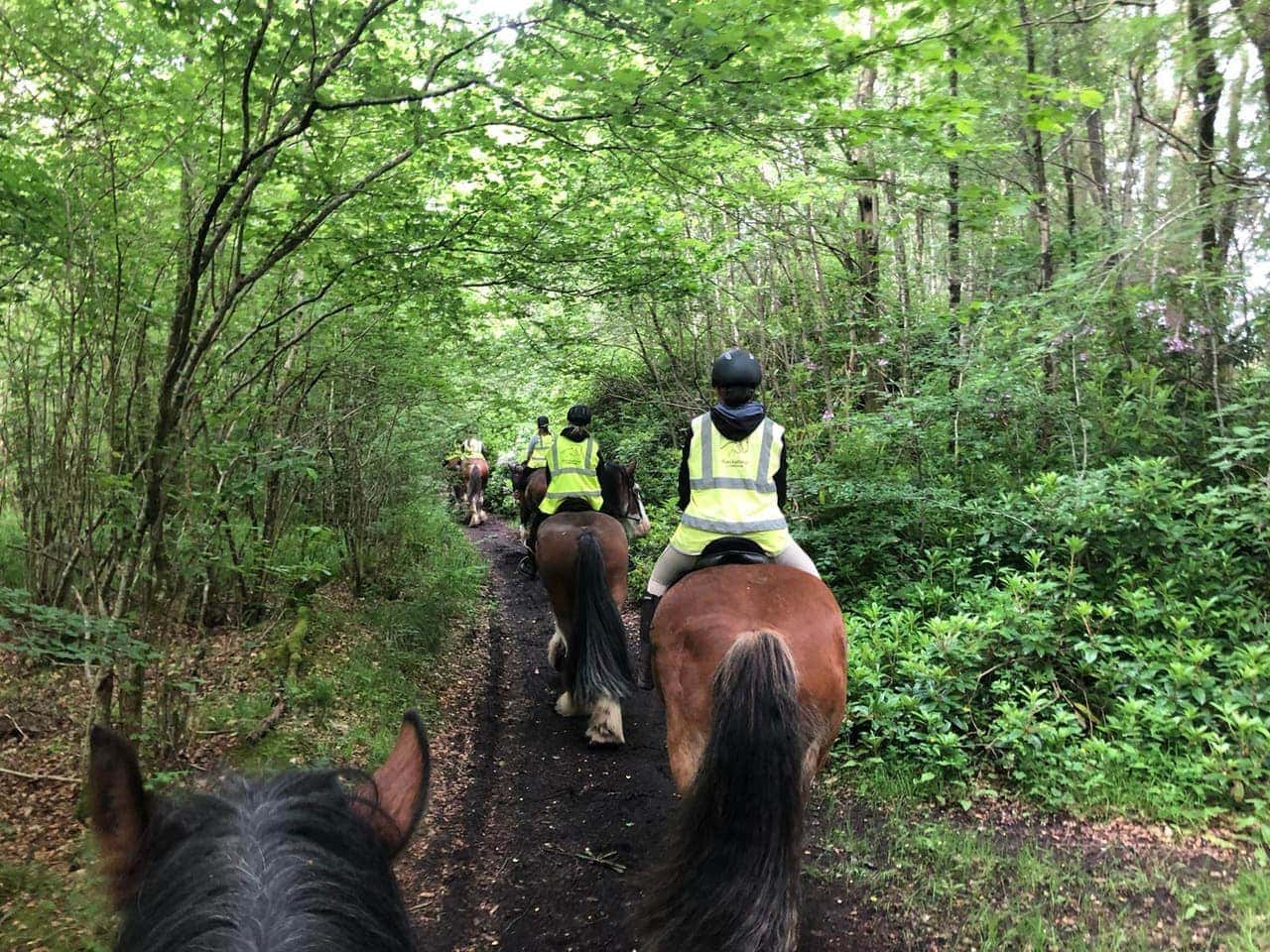 Woodland pathways on Boswell Estate Ride with Blackstone Clydesdales, Cumnock