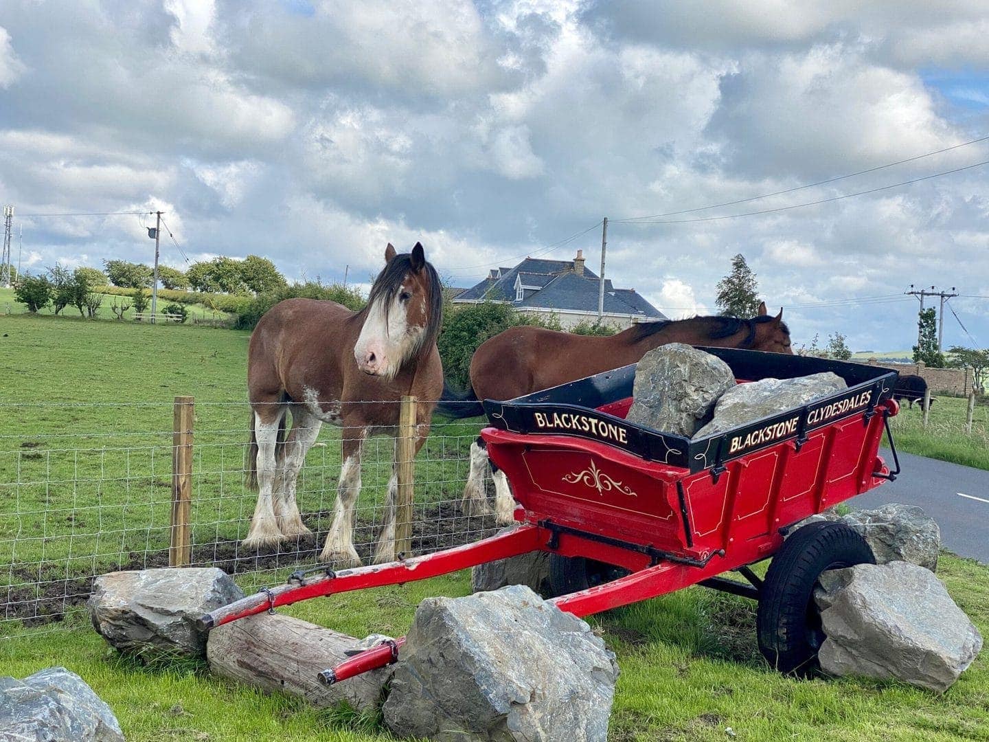 Welcome to Blackstone Clydesdales