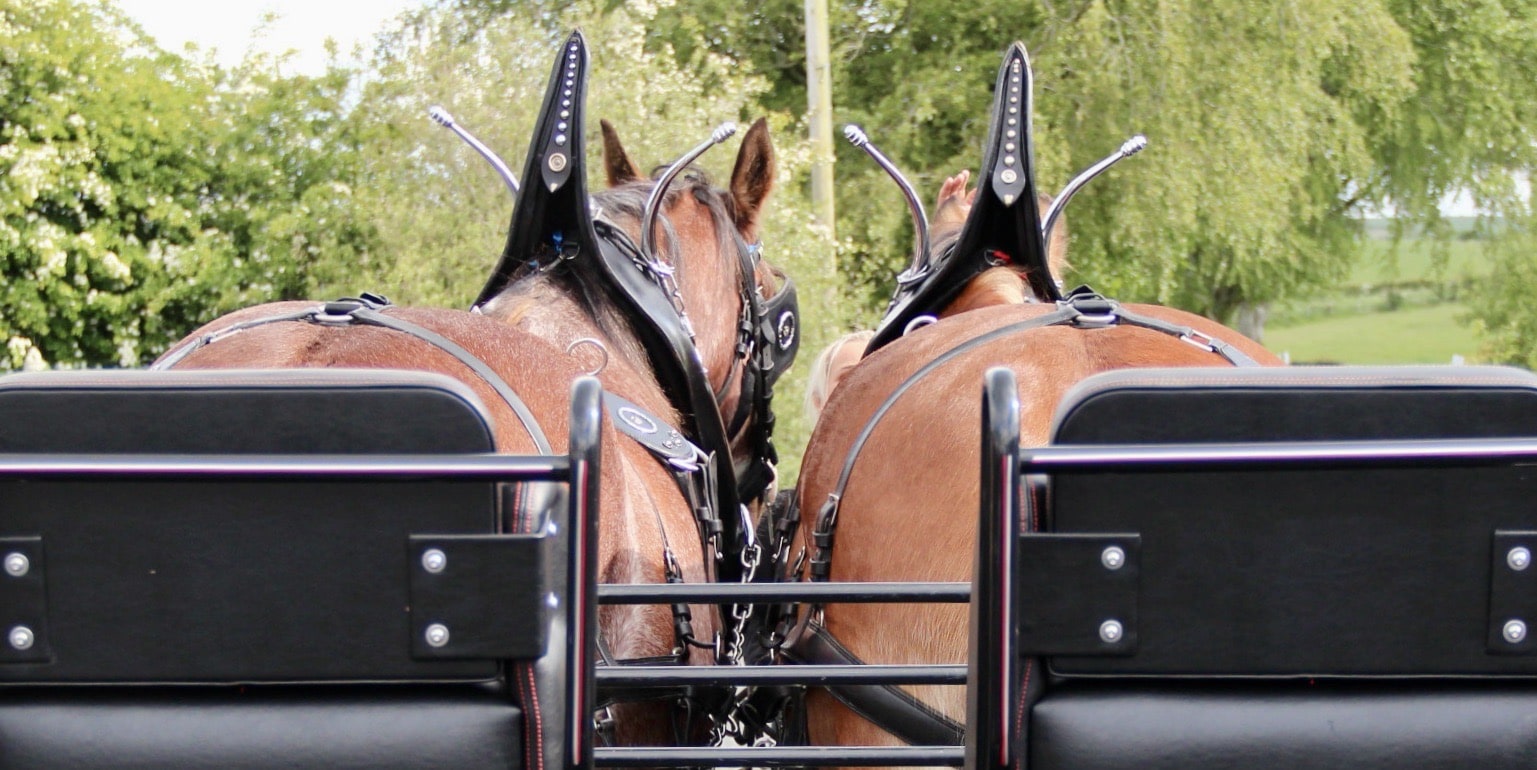 Blackstone Clydesdales Clydesdale and Carriage